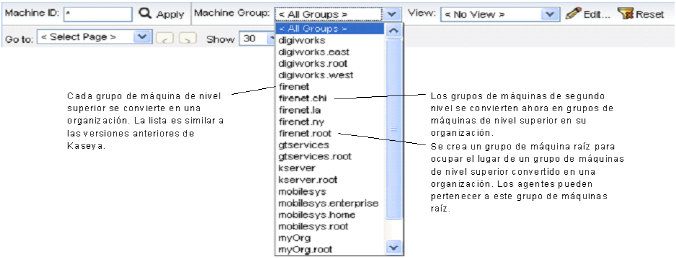 Word 60% / HTML 100%